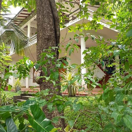 Yonara Green Rest Habarana Kültér fotó
