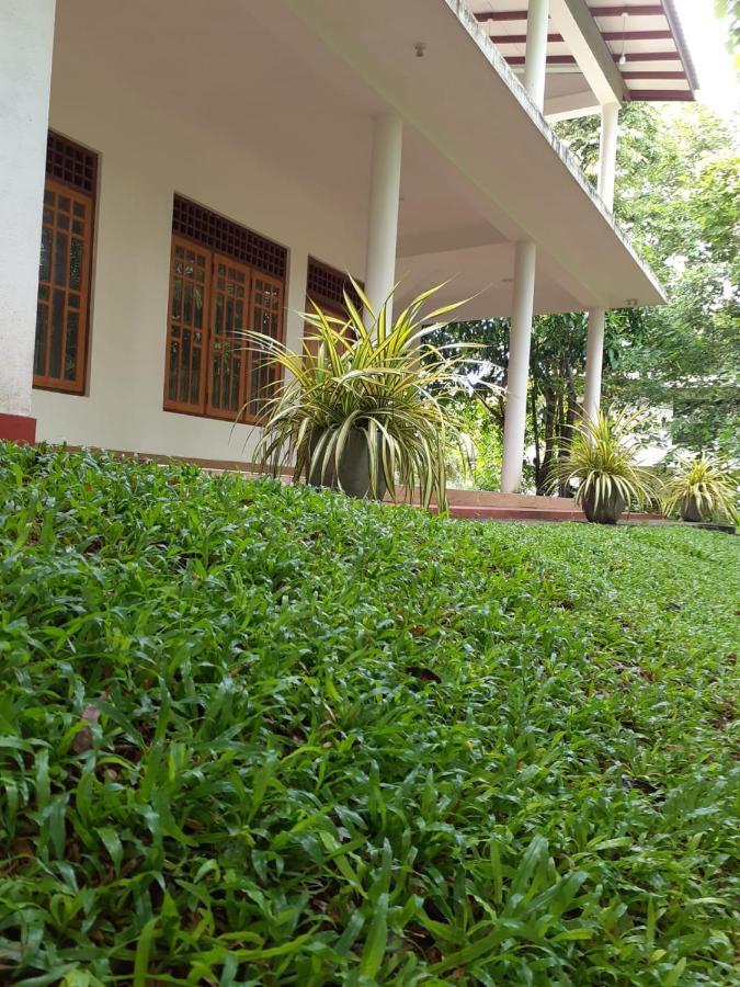 Yonara Green Rest Habarana Kültér fotó