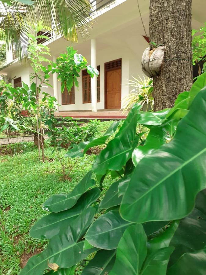 Yonara Green Rest Habarana Kültér fotó